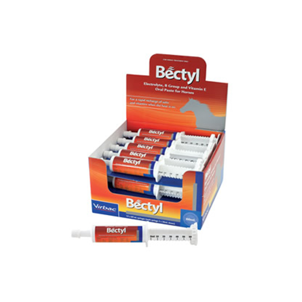 Bectyl Electrolyte B Group And Vitamin E Oral Paste for Horses for Horse Supplies